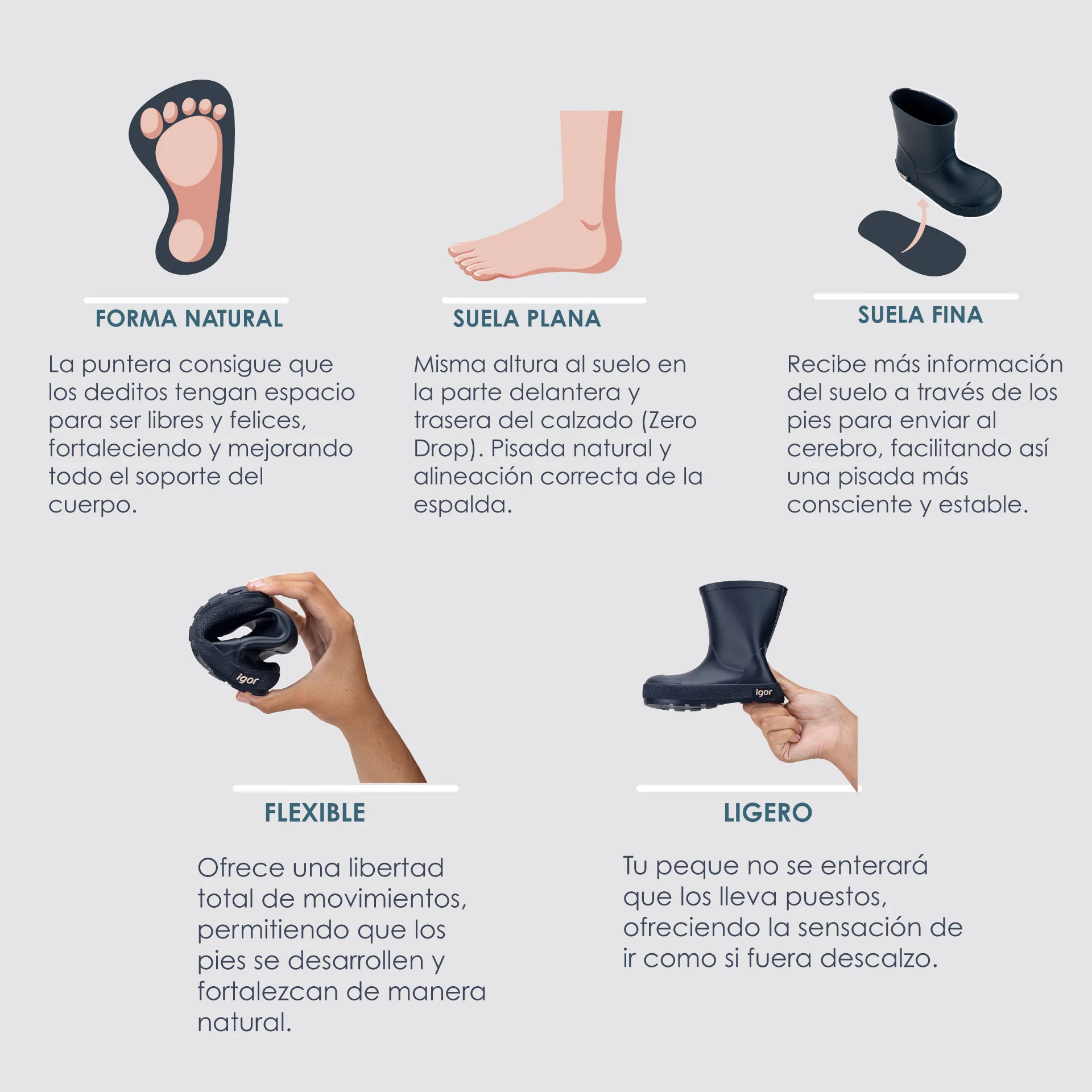 Imagen del producto 10